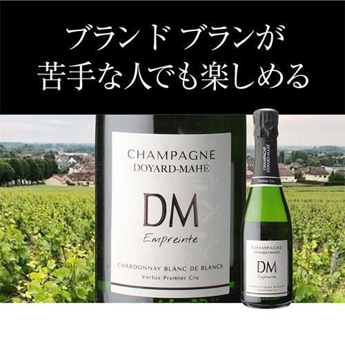 1本あたり4,582円 送料無料ハーフボトル セットシャンパン飲み比べ