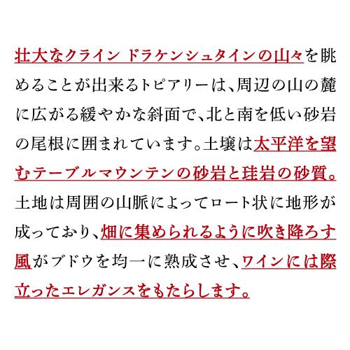 3,300円→特価2,640円 20％OFF 9/18～20限定】トピアリー バイ