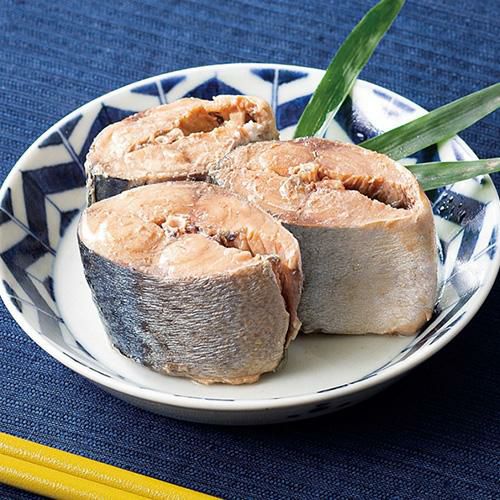 極洋 さば水煮 160g 48缶 国産 キョクヨー 鯖水煮 サバ水煮 RSL