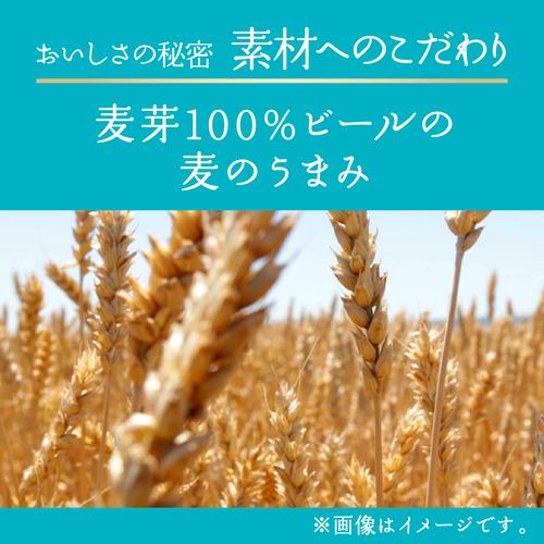 キリンビール 晴れ風 500ml缶×48本(24本×2ケース) 送料無料 ビール 缶