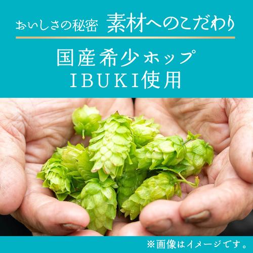 キリンビール 晴れ風 500ml缶×48本(24本×2ケース) 送料無料 ビール 缶