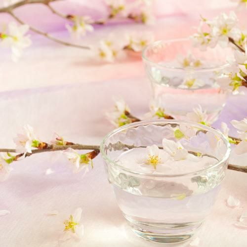 花見酒の上善如水 純米吟醸 720ml新潟県 白瀧酒造 花見酒 長S