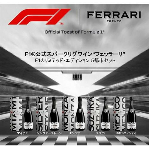 1本あたり6,380円(税込) 送料無料 フェッラーリ F1 5シティ ボックス