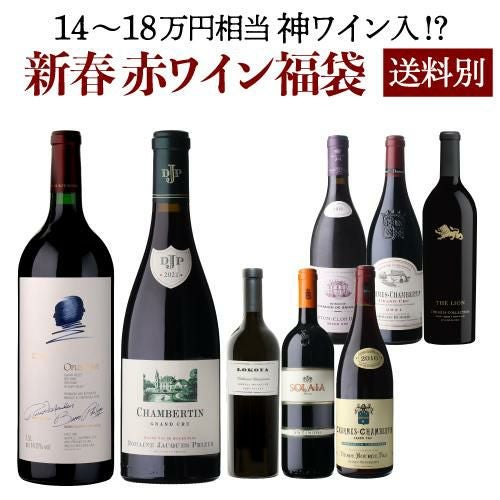 P3倍】極の赤ワイン福袋 1本入 運が良ければ 1本 18万円相当 神 ワイン