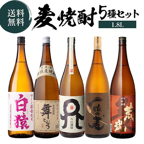 サントリー角700ml& いいちこ 麦焼酎 720ml 合計8本セット 送料無料 三和酒類 いいちこオリジナルギフト 720ml 3本 ギフトBOX