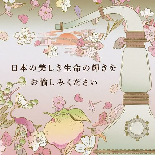 【おけい（1/2）】赤/青、各360ｇ≪リクエスト特割特価≫ 県道6号線前編 | いまからいくけんどう2 | 満点ママ!!番組コーナー
