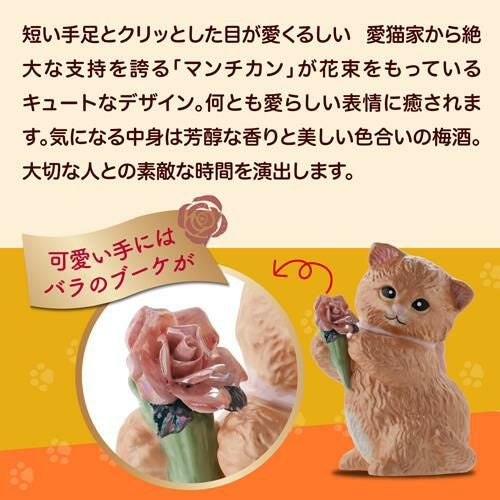 送料無料 正規品 梅酒 箱付き マンチカン ウィズブーケ ホワイト 300ml
