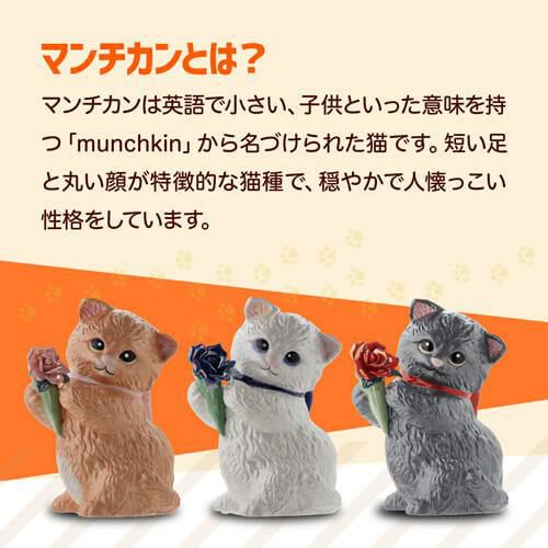 送料無料 正規品 梅酒 箱付き マンチカン ウィズブーケ ホワイト 300ml