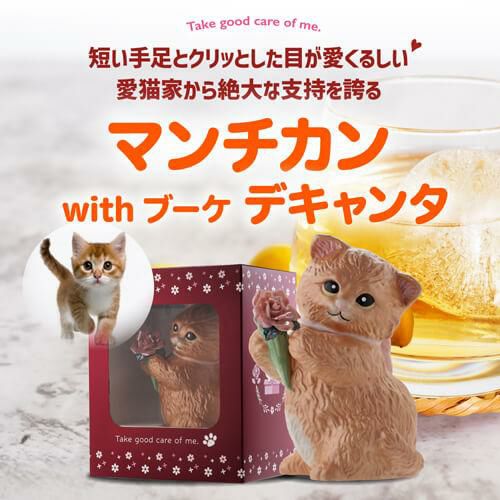 送料無料 正規品 梅酒 箱付き マンチカン ウィズブーケ ブラック