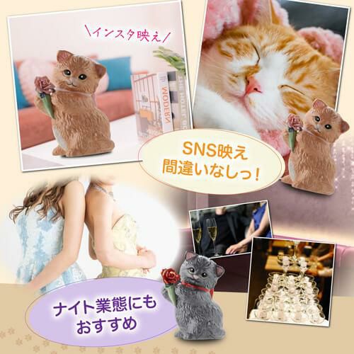 送料無料 正規品 梅酒 箱付き マンチカン ウィズブーケ ブラック