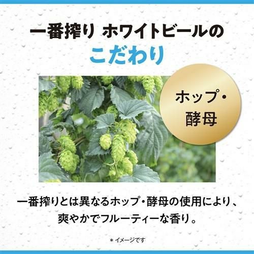 キリン 一番搾り ホワイトビール 500ml×48本 (24本×2ケース) 麒麟