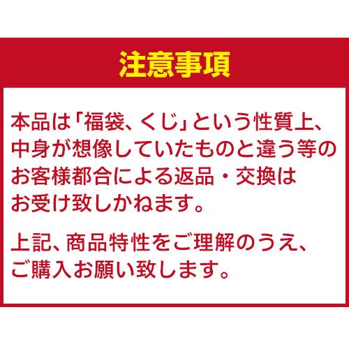 ドリンク、水、お酒 限定300セット 焼酎福袋 1.8L×2本セット 1/