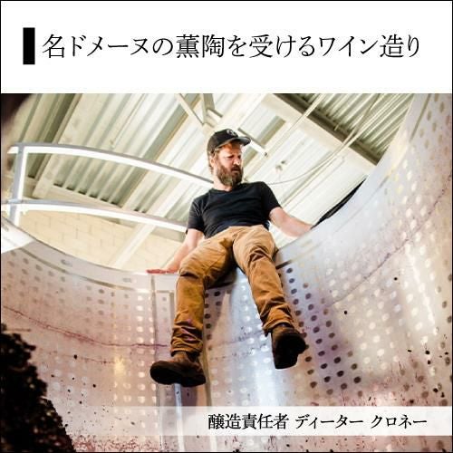 5,500円→特価4,400円 20％OFF 9/18～20限定】送料無料 サンタ