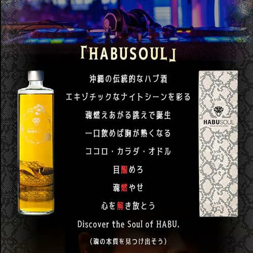 ハブリキュール HABUSOUL ハブソウル 40度 720ml沖縄県 龍泉酒造 ハブ