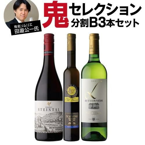 送料無料 3種から選べる田邉公一氏鬼セレクションワイン10本セット(A+B