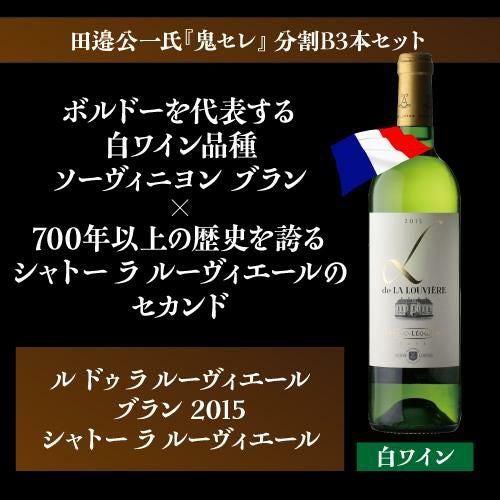 送料無料 3種から選べる田邉公一氏鬼セレクションワイン10本セット(A+B