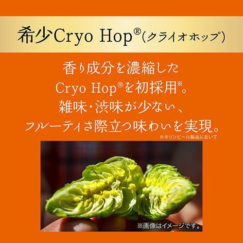 キリン グッドエール GOOD ALE 350ml×48本24本×2ケース 送料無料リッチ