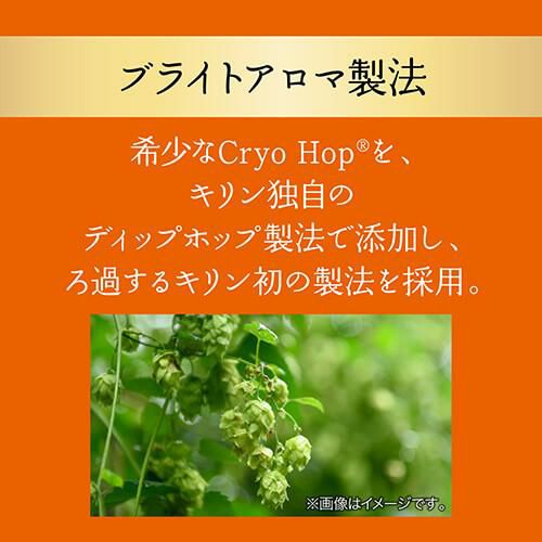 キリン グッドエール GOOD ALE 350ml×48本24本×2ケース 送料無料リッチ