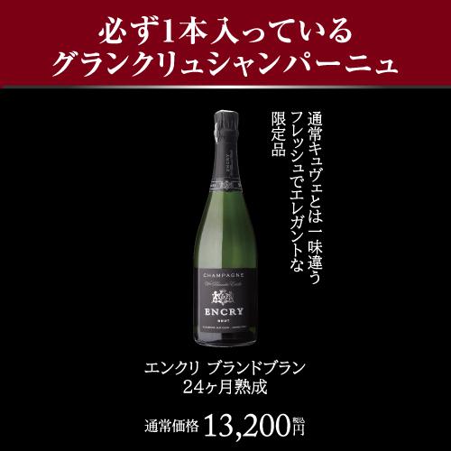 送料無料 シャンパンセット プレミアム シャンパン 2本セット 第3弾 9