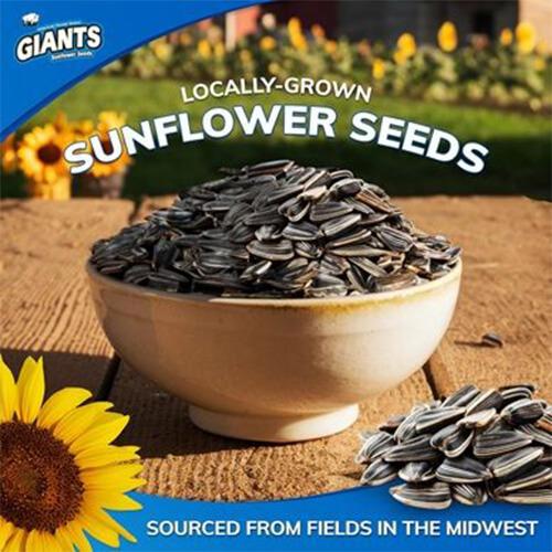 送料無料 メール便】Giants Sunflower Seeds Original 163g×2袋