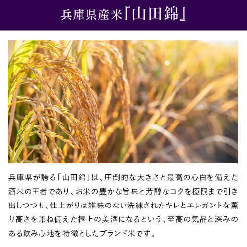 彗(シャア) SWAN 山田錦 純米 720ml 6本 15度 スワン 日本酒 清酒 長野