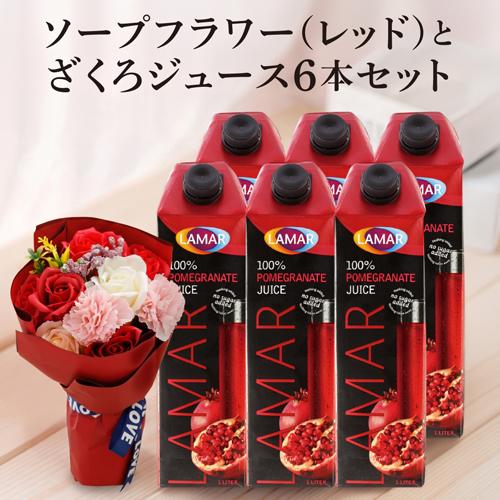 送料無料】ドリンクメイト スターターセット レッド | リカマン オンライン