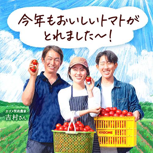 カゴメ トマトジュースプレミアム 食塩無添加 2026年 新物 195ml 48本